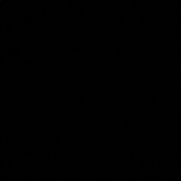 Meet your Posher, Ruby - Picture 1 of 1